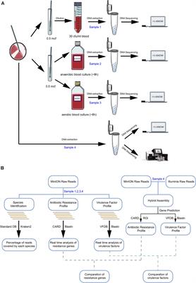 Comprehensive Pathogen Identification, Antibiotic Resistance, and Virulence Genes Prediction Directly From Simulated Blood Samples and Positive Blood Cultures by Nanopore Metagenomic Sequencing